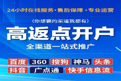 谷歌SEM案例研究：数据分析与效果评估